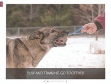 Tablet Screenshot of cloudninedogtraining.com